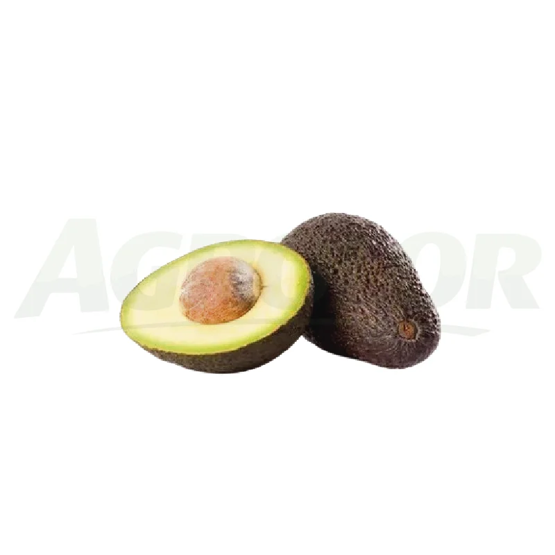 Avocado Hass