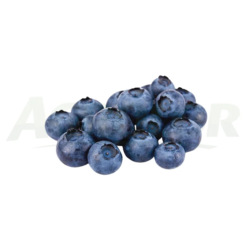 Blueberries
