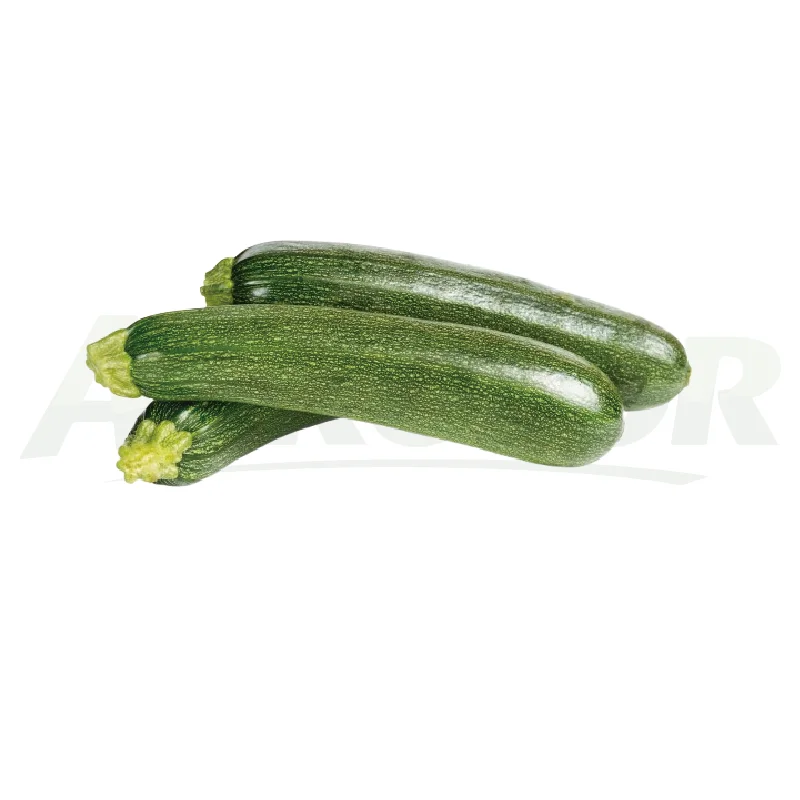 Zucchini
