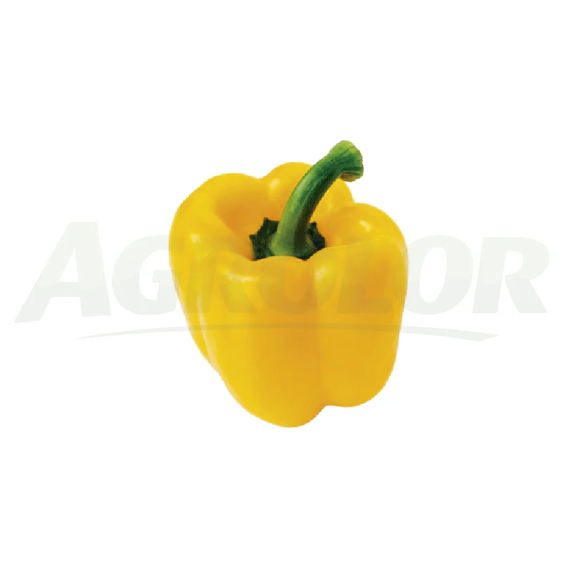 Yellow California Pepper