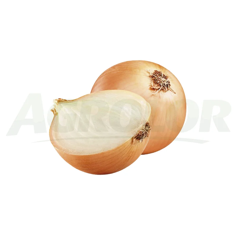 Onion