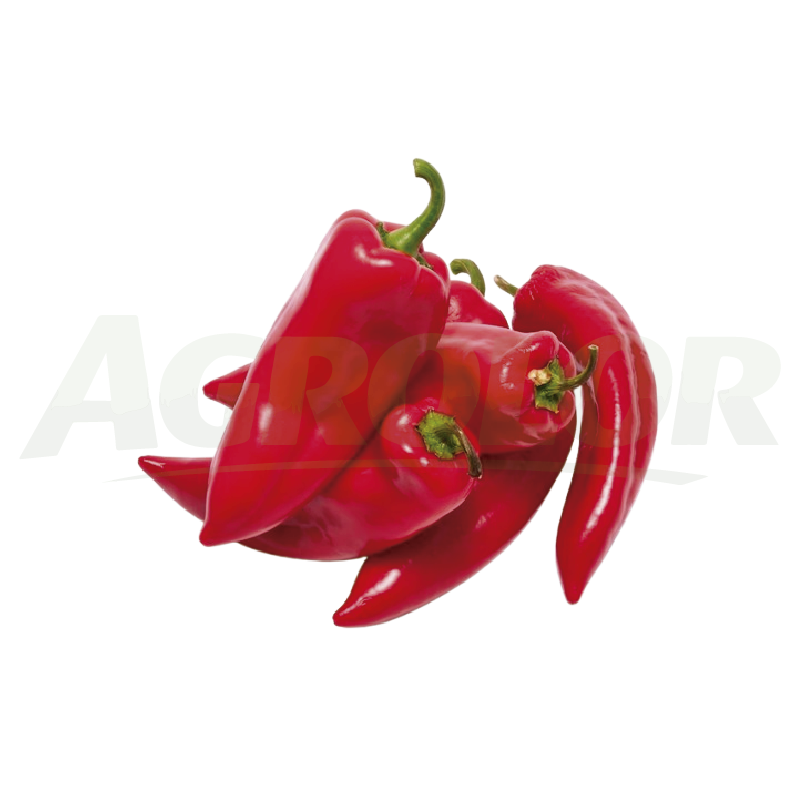 Red Kapia Pepper
