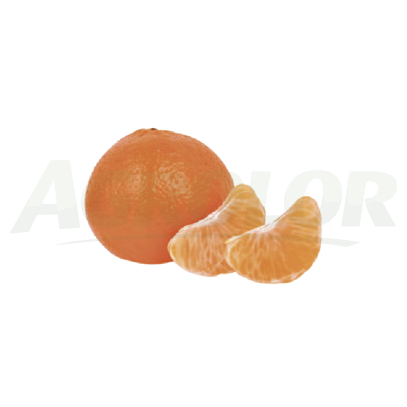 Mandarins