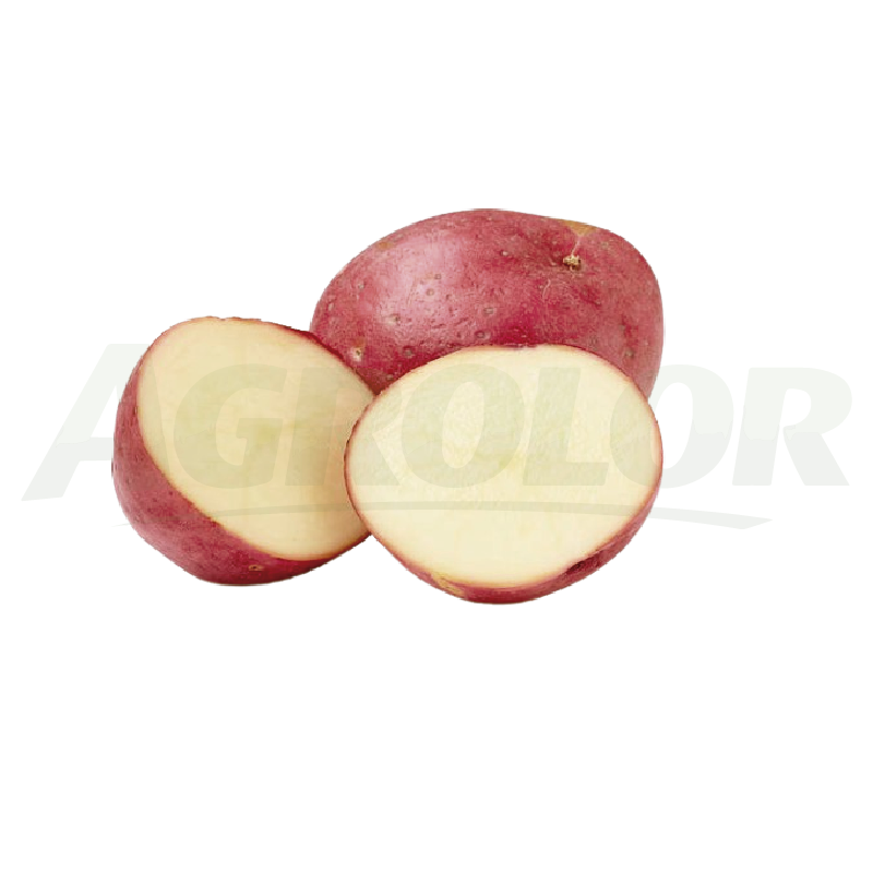 Red Potato